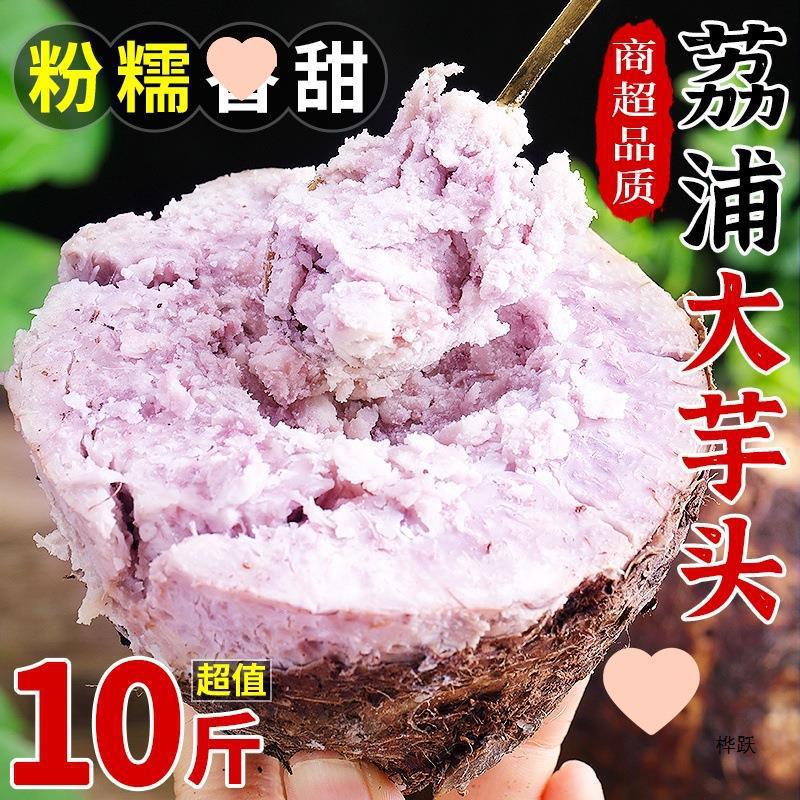 广西荔浦新鲜大芋头10斤现挖粉香芋产槟榔芋紫藤毛芋头直销