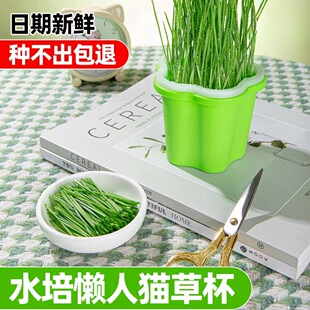 ؈�ݱ��Nֲ�P����؈�ݟo��ˮ����С���N��ȥë��ë��؈����ʳ