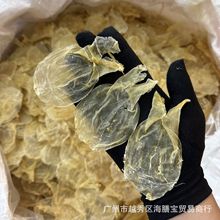 甲肚胶开片 蜘蛛胶鱼胶开片 150头鸭包片 一德路海味干货批发
