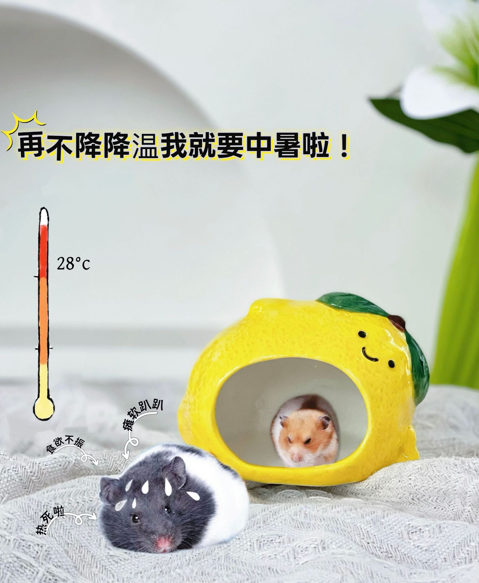 微信图片_20260318103658_1308_21.jp