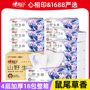����ӡ�鼈ɽҰ��ϢM�a4����β�����l������ͽ�����������Ì���