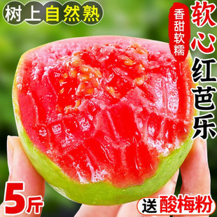 �t�İŘ���ʯ��5�ﮔ�����rˮ��ܛŴ��֬�t��͘���������]