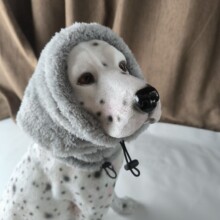 �����^�����Ᵽů��������ñ�������׷��������ְ���≺�^��