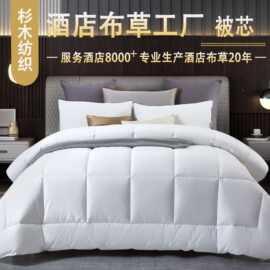 五星级酒店被芯 宾馆羽丝棉被子 酒店专用棉被芯加厚民宿四季被