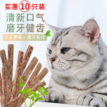 猫薄荷棒猫咪磨牙棒洁齿幼猫啃咬逗猫棒木天蓼棒猫玩具用品猫零食