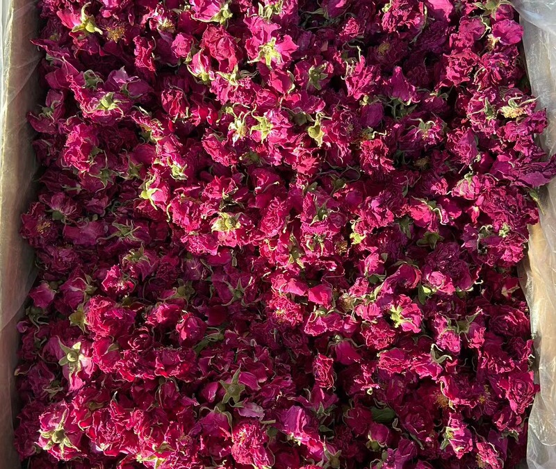バラ茶ばらバラ平陰薔薇500グラム新商品重弁バラ花乾花草茶メーカー直供|undefined