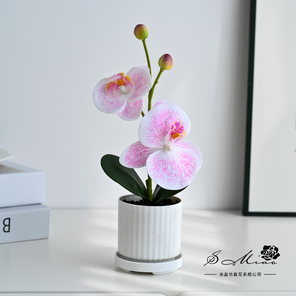 Dos flores, dos frutas, orquídeas mariposas pequeñas plantas de bonsai creativas, decoración del hogar de moda, fotografía de flores artificiales, decoración de flores de boda