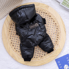 �ﶬ�b�Ӻ�ů���¹����·�������̩�ϱ���С��Ȯ�������_�¶���