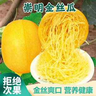 �Ϻ������u��z�����r�ǹϔ��Ͻg���S��ϽǹϽg����l���~���