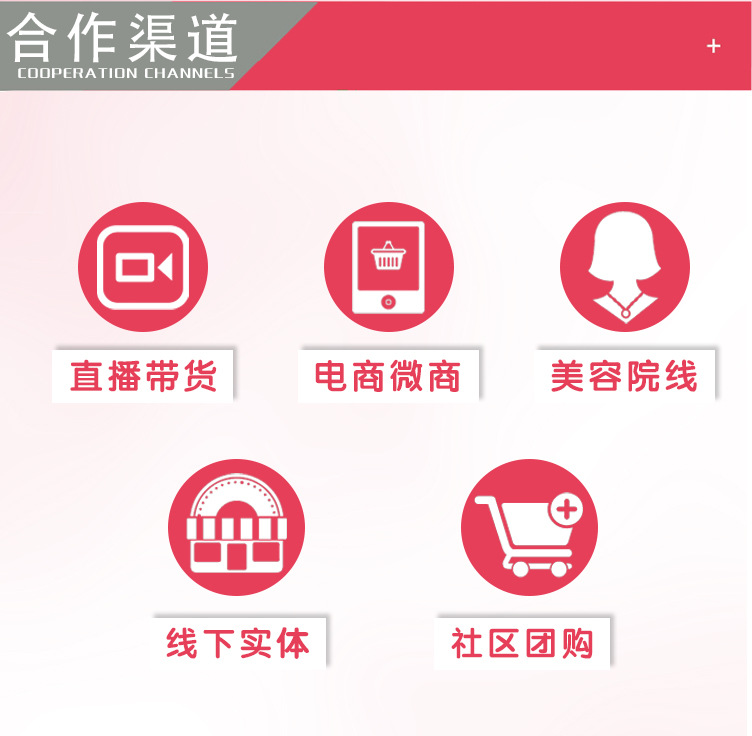 公司实力展示板块_05