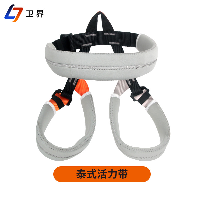Thai Yoga Waist and Leg Protection Pants Indoor Bungee Aerial Yoga Sling Home Elastic Rope Equipment Set