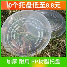 �Ӻ�����PP��֬Բ�μӺ�͸���������ϻ������̵׻�����ֲ����