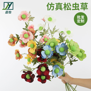 ���滨�����x�ݼҾ��b�c����߶˻�Y�ò����b[�����l���Q