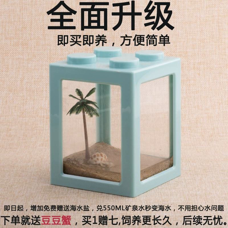 Daifa Mini Bean Crab Настольный милый маленький питомец, не кормящий экосистема, пейзаж, детский подарочный набор