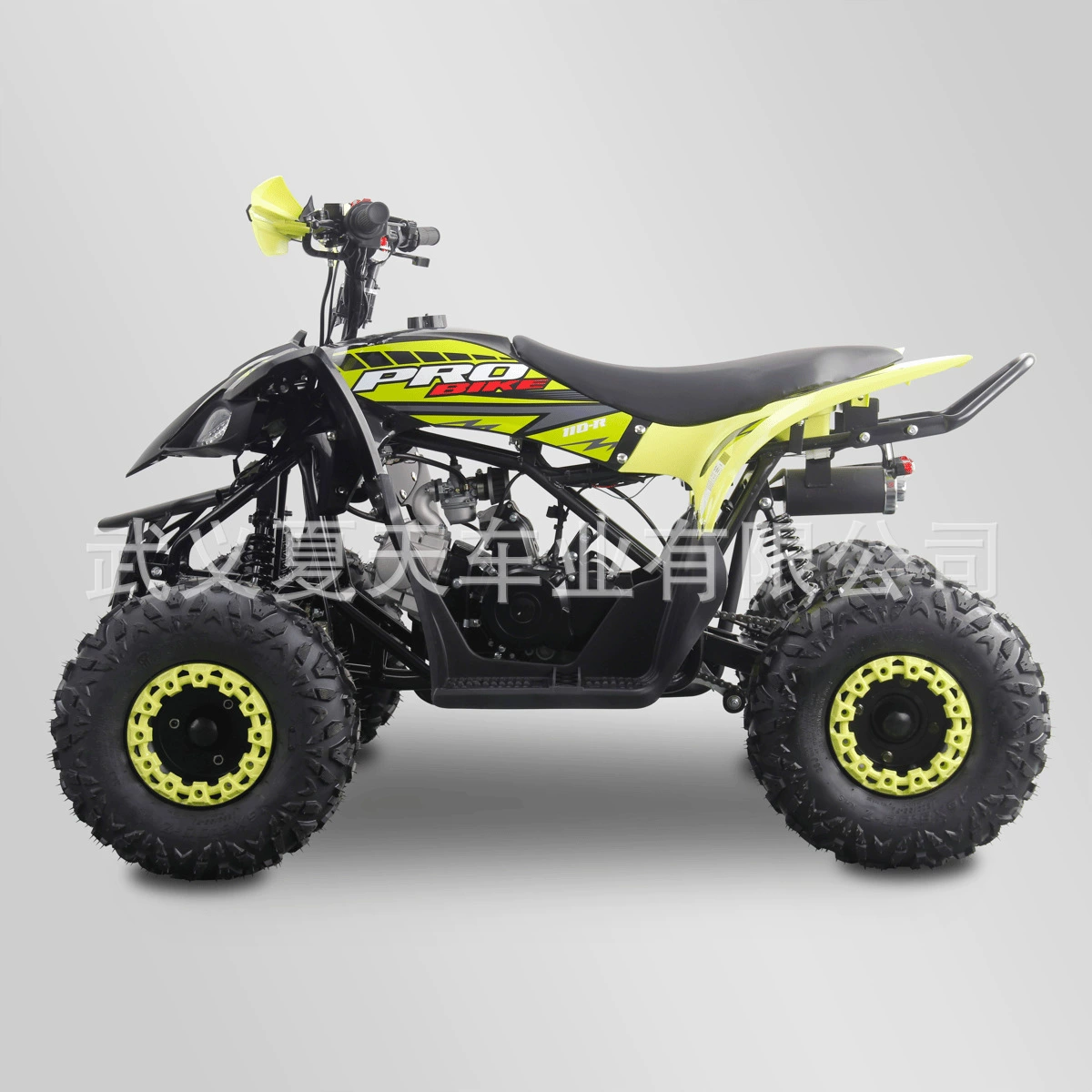 Завод производит ATV пляжная машина 125cc четырехколесный внедорожник пляжное транспортное средство может выпускать большой и малый объем внедорожников