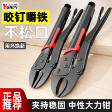 �����Q���I���f��c�ʹ����Q�ϻ��Q���{�քӉ����Q�ɴu�̶����ߊA