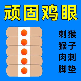 �u���N�u�۸����O������_�_�������ȴ̸C��Ƥ��������̱�����l