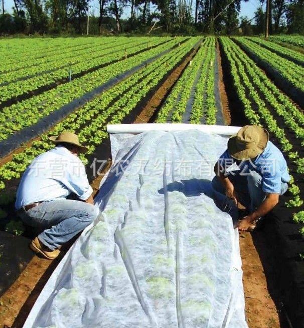 O1CN01feuQ581bWgWdFUBxF_!!2924243473-0-cib.jpg?__r__=1725867508630