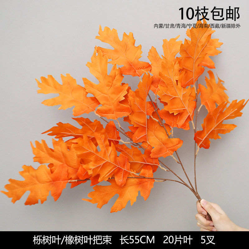 栎树叶 橡树叶把束