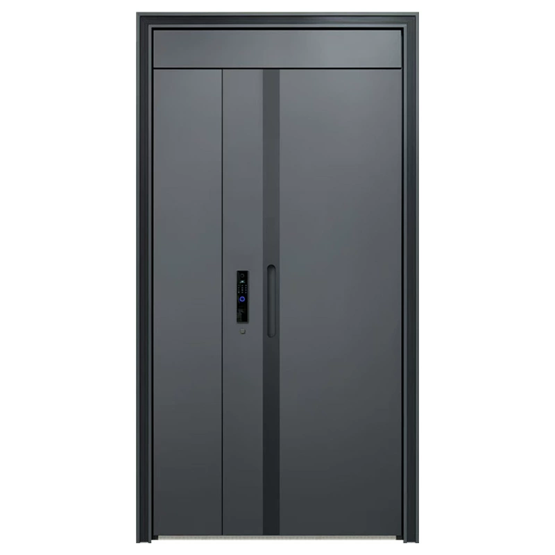 Class A security door entry door household light luxury simple new national standard level 4 entrance door odd and double door mother door
