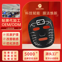 跨境ai面膜仪器家用脸部脉冲导电按摩仪微电流智能声控电子美容仪