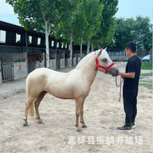 �m��С�����T��С���R �±����R �������R ���^�T���R