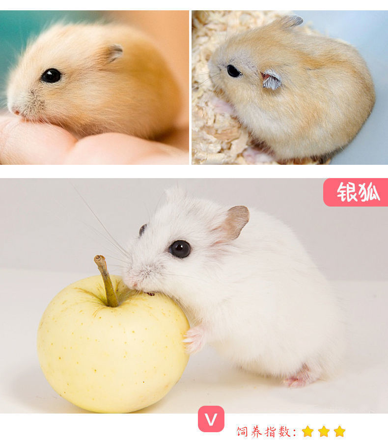 7fddc8f5-ef5c-4e6e-8f74-f88cf75f3172.jpe