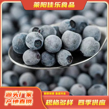 佳乐新鲜冷冻蓝莓冰冻篮莓10kg果汁商用莓果当季水果批发甜点慕斯