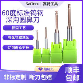 工厂定制60度标准钨钢深沟圆鼻刀微小径铣刀加长避空刀数控加工