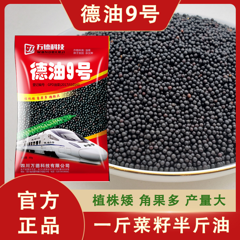 Deyou No.9 High-yield field rapeseed seeds autumn planting disease-resistant cold-resistant lodging-resistant dwarf hybrid quality rapeseed