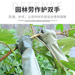 ガーデニング用手袋、耐穿刺性、防水性、花の植え付け用の特別な花用手袋、バラの庭の植え付け、野菜の植え付け、雑草の除去、刺し傷防止保護
