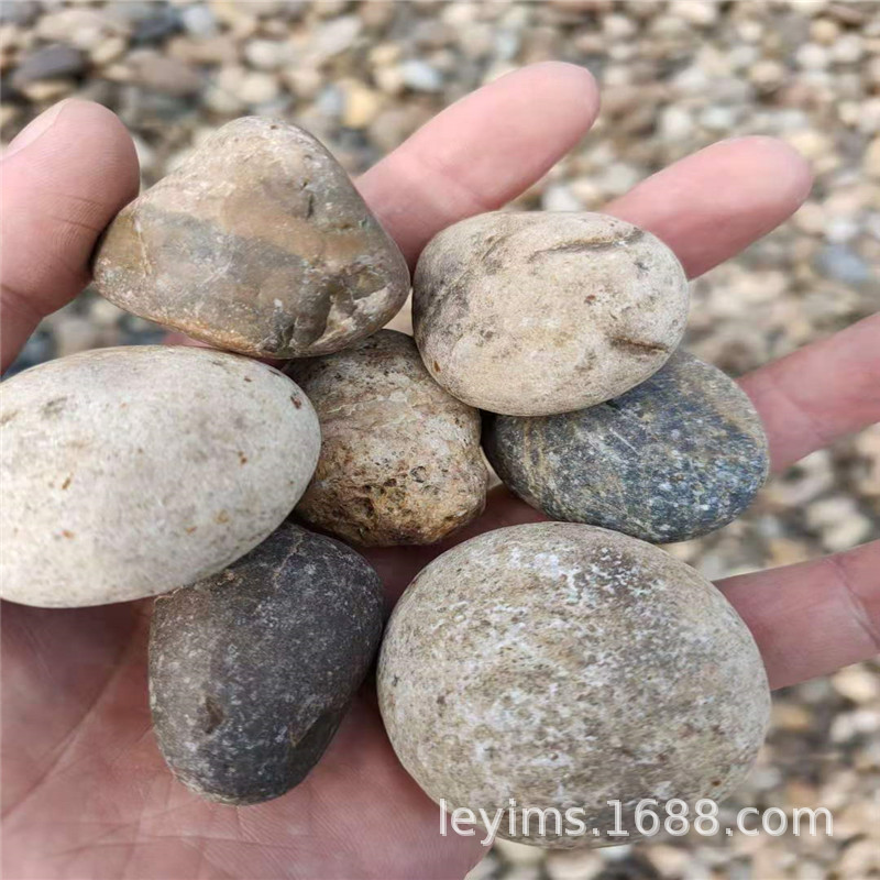 实体大厂供应广东汕头鹅卵石滤料 潮安鹅卵石滤料 潮南鹅卵石滤料