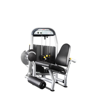 WNQ (Evergreen) Fitness Equipment Home Commercial Indoor Gym Kick Trainer Strength Station F1-5001