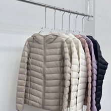 ŹpqŮﶬ¿̿Bñ¿eװq