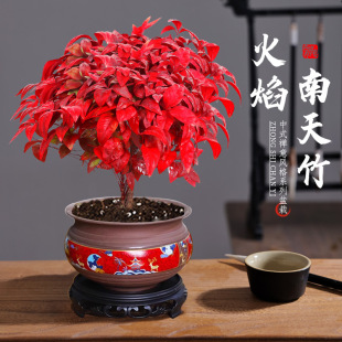 ���������������^�~�t�~С�辰���B�׻��ͺ��Gֲ������U��΢���^