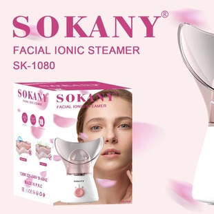 Export Facial Steamer Hot Spray Instrument Home Beauty Instrument Negative Ion Nano Hydration Instrument Spray Instrument 1080