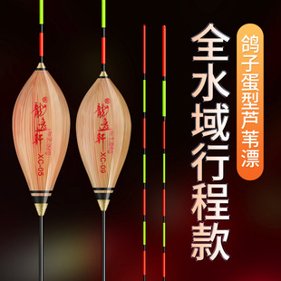 Reed fish float with Shell pigeon egg black pit 60CM crucian carp bold eye-catching tail high sensitivity float mixed breeding stroke