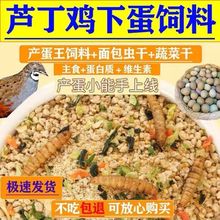 �J���u�������x�߲˸����r���u�_���ϸ߮a���µ��Z�g���Zʳ���]