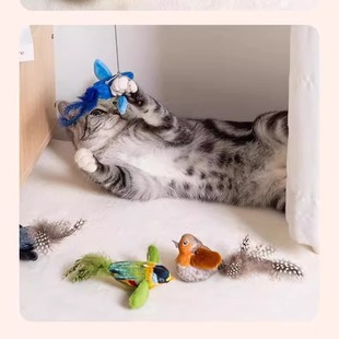 �н��B�lë�q��߿ɑҒ�؈�����˽␞ĥ������ҧ��؈��؈���