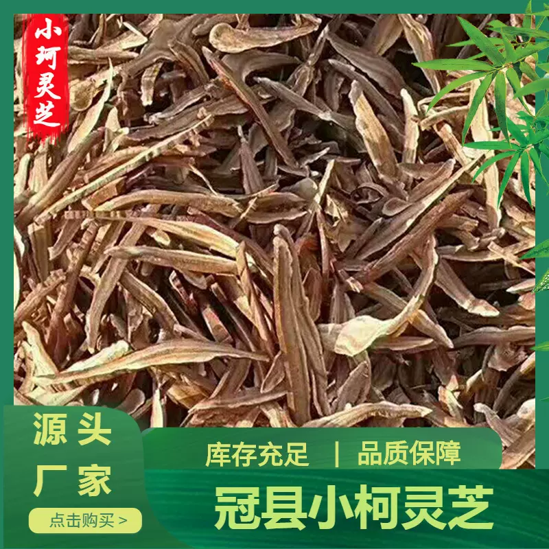 现货供应灵芝片赤灵芝切片瓶装灵芝切片可加工