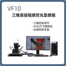 ����𩡿VF10 ��ά�߱���Ƶӫ����΢��/��īʱ�������/�������