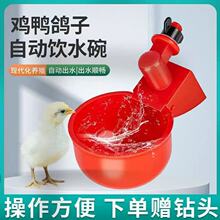 �����Ԅ��ˮ���¿�ι�u�Ԅ��ˮ�����ZˮͰ�u���uˮ���B�uιˮͰ