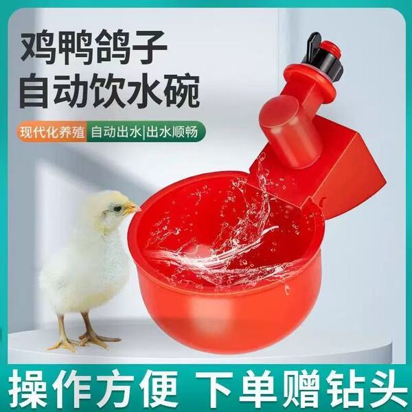 Poultry automatic water drinker new style chicken feeding automatic…