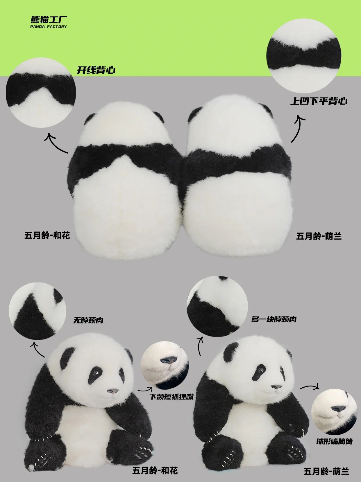 レア★リアル パンダぬいぐるみ パンダファクトリー 熊猫工場 中国 Qoo10] 西柚熊猫」のリアルなパンダのぬいぐるみ