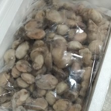 ȥ������� ��Ϡ������ĵϠ�� ԭζ�o��ԭ�����������ʳ��