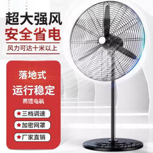 �¿�I�L����L������ȴ��L������L�ȏ����L��ţ������Ş��