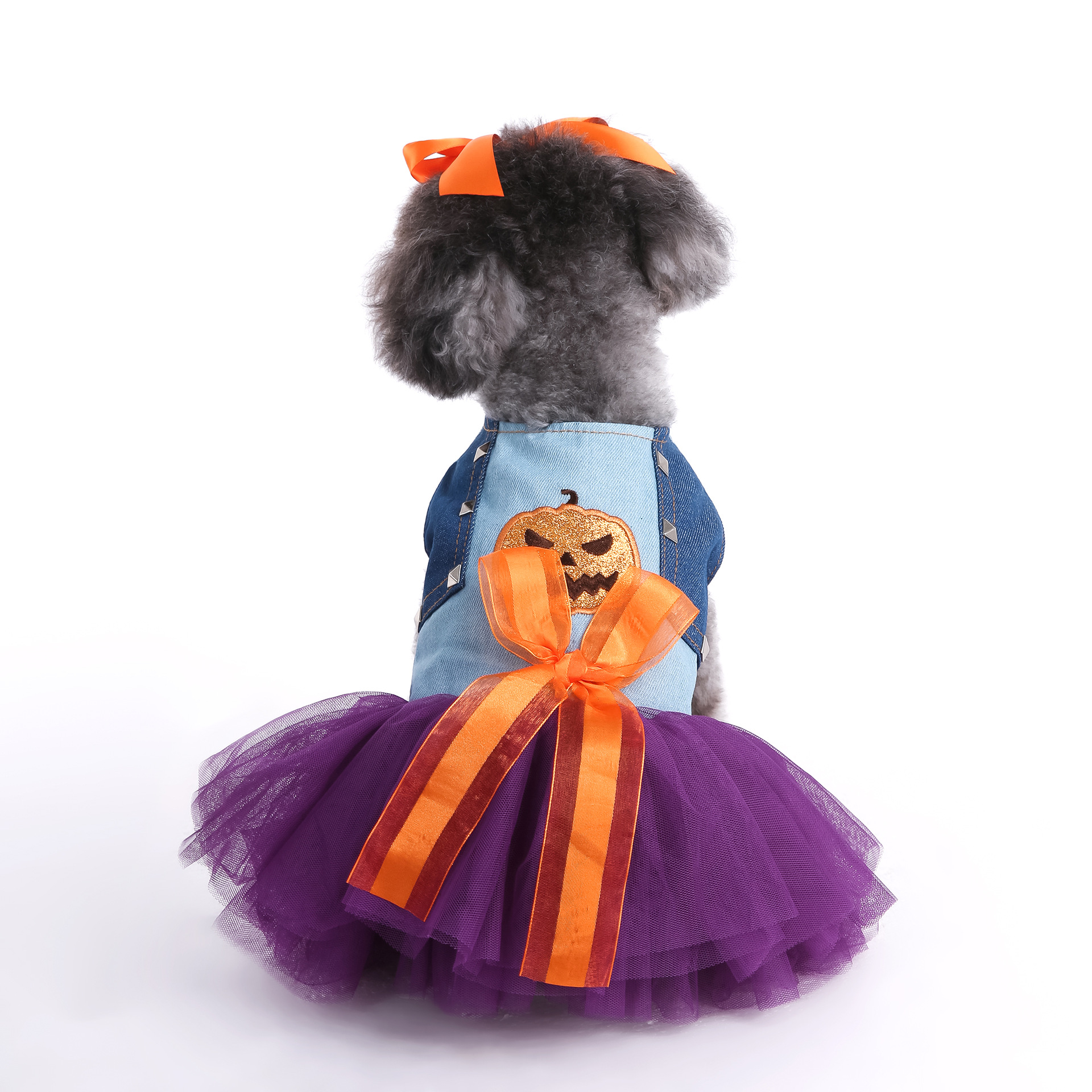 Otoño y invierno Halloween ropa de mascotas ropa de perro ropa de gato ropa de ropa casual ropa de calabaza curiosa image 2