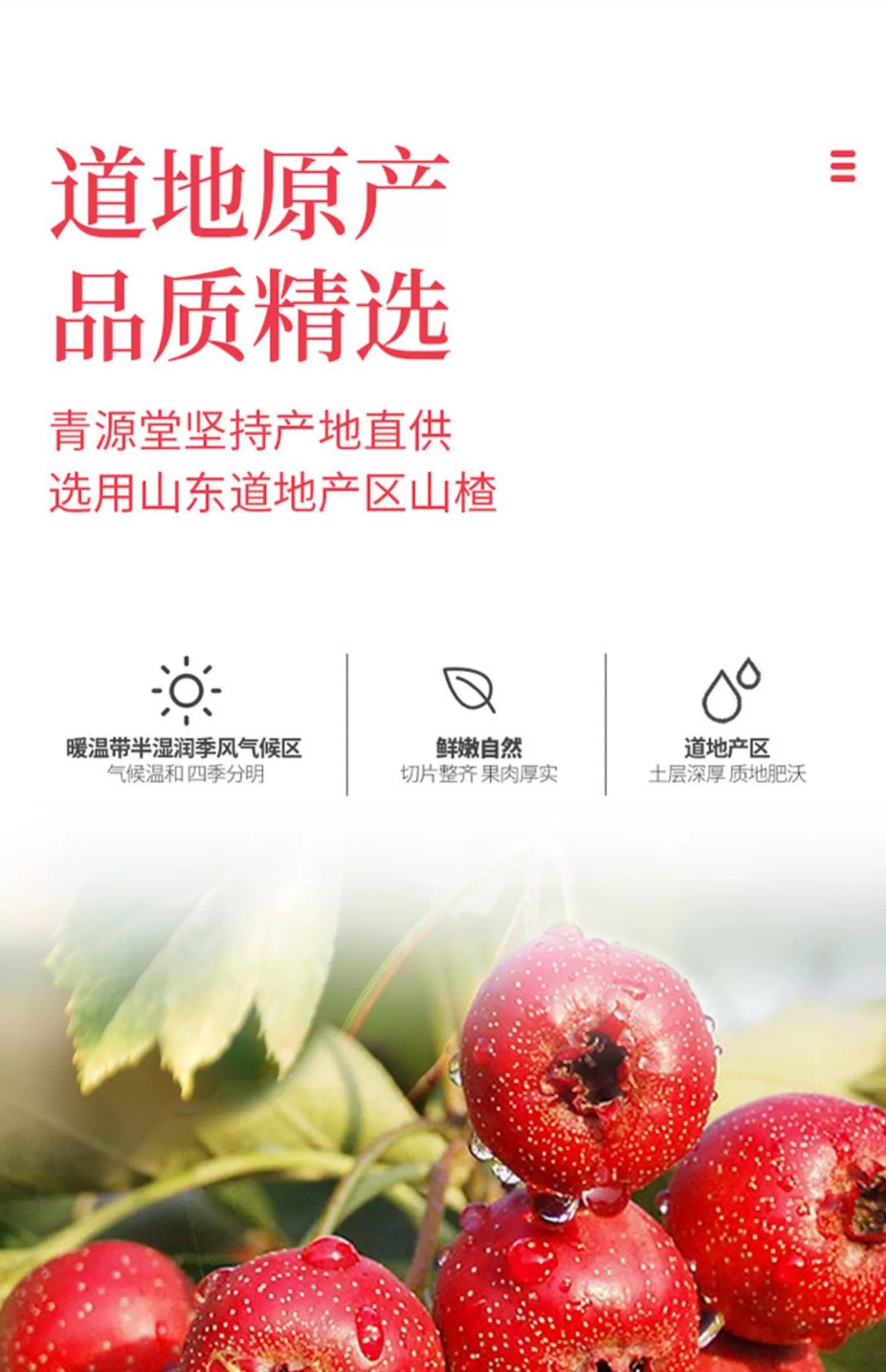 Dried Hawthorn Slices Shan Zha Pitted Sugar Free Hawthorn Rings for Tea and Infusions 80g Sample Pack key features