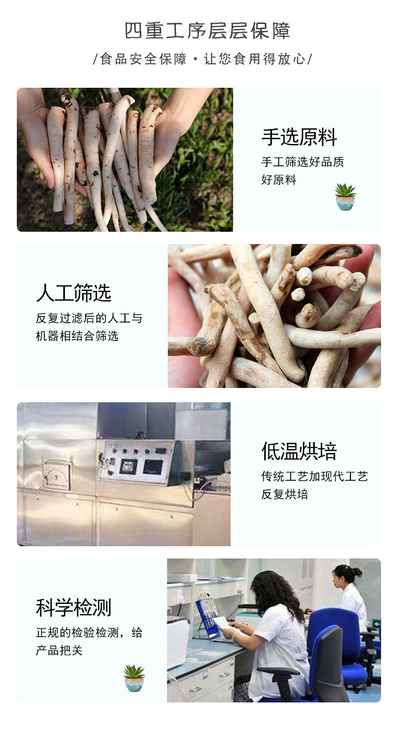 White Peony Root Slices Bai Shao 500g Dried Paeonia lactiflora Bulk Herbal Tea and Decoction Pieces quality and texture