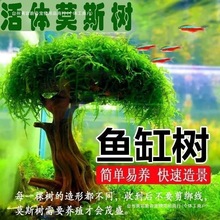 Ī˹���Ʒ��И�������ˮ�ݔ[���ɾ����˳�ľ��ɳ���~���쾰����